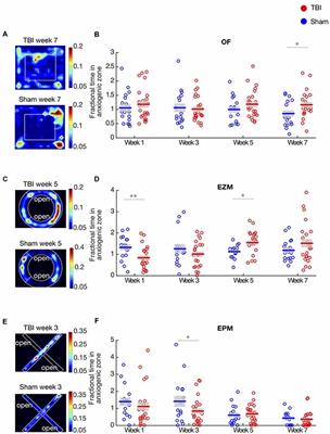 Long-Term Effects of Traumatic Brain Injury on Anxiety-Like Behaviors in Mice: Behavioral and Neural Correlates